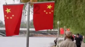 拯救铁笼中的小牛